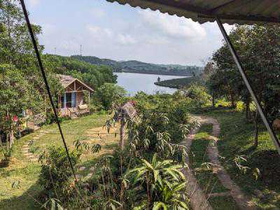 he view from my room of the rolling tea hills